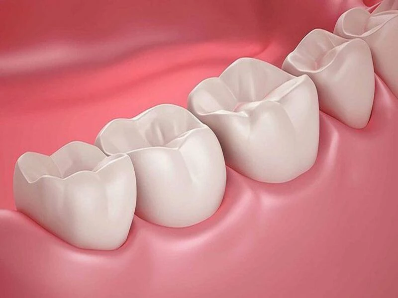 Răng số 7 nằm ở vị trí nào?